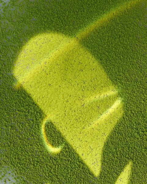 CAP Beauty - Matcha - Organic Ceremonial Grade - Green Powder - Overhead